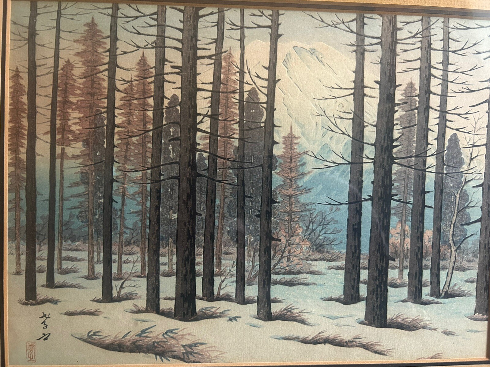 Picture 8 of 15