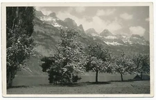 Walensee Spring Mühlehorn Switzerland Southern Shore of the Lake Postcard RPPC