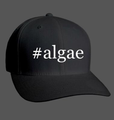 #algae - Adult Hashtag Baseball Cap Hat NEW RARE
