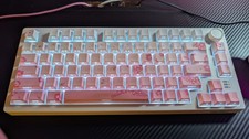 DAREU Mechanical Keyboard Wired Gasket N-Key Rollover, Anti-Ghosting, RGB