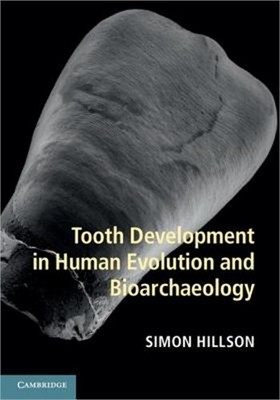 Tooth Development in Human Evolution and Bioarchaeology (Hardback or Cased Book)