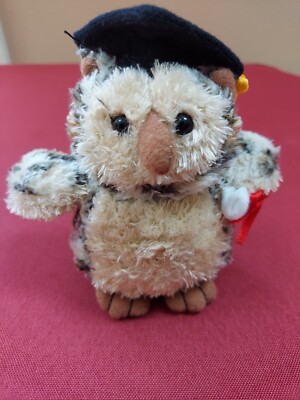 Graduation Owl Gift High School Middle School Kindergarten College PHD