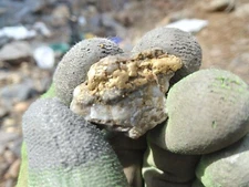 Republic Mining Prospectors Association Membership. Access to 18 Mining Claims.