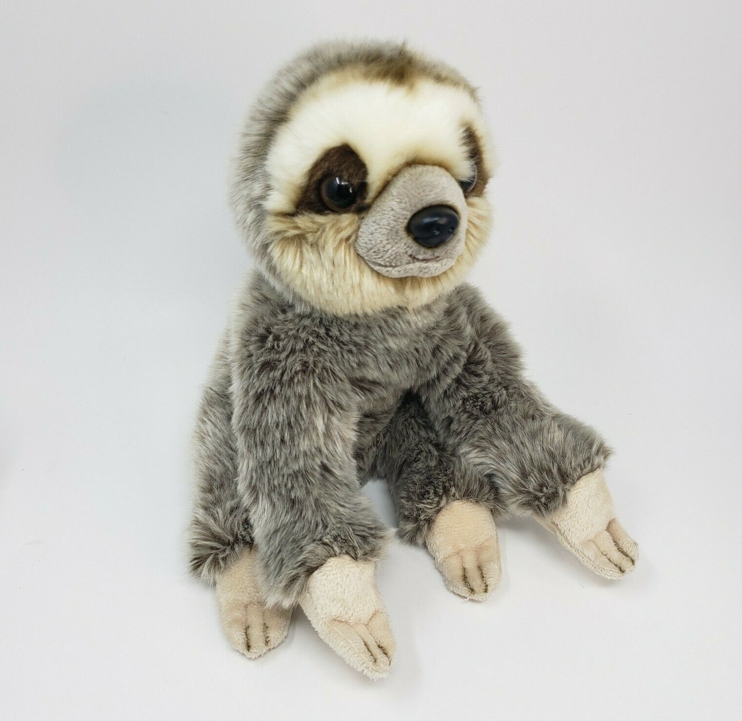 ganz sloth
