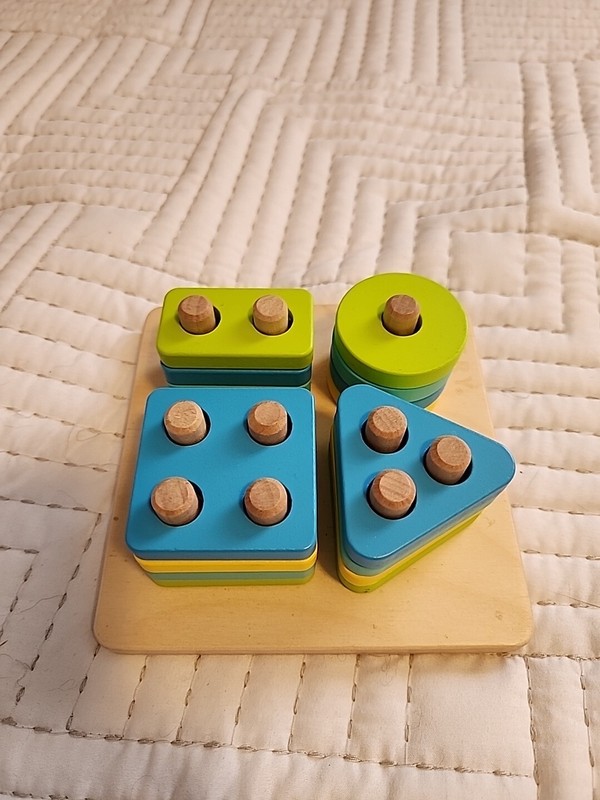 Lovevery The Enthusiast Sort And Stack Peg Puzzle Montessori Months 28-30