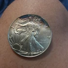 2016 AMERICAN SILVER EAGLE 1 Troy Oz .999 Fine Silver: Toned