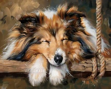 Shetland Sheepdog Relaxing on Swing - 8x10 Matte Print