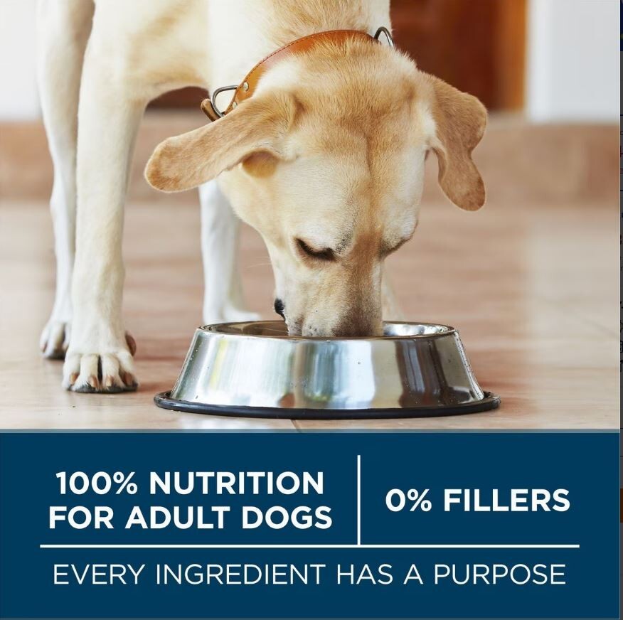 Purina ONE Plus Large Breed Adult Dog Dry Food Chicken Rice Formula 31.1 lb Bag