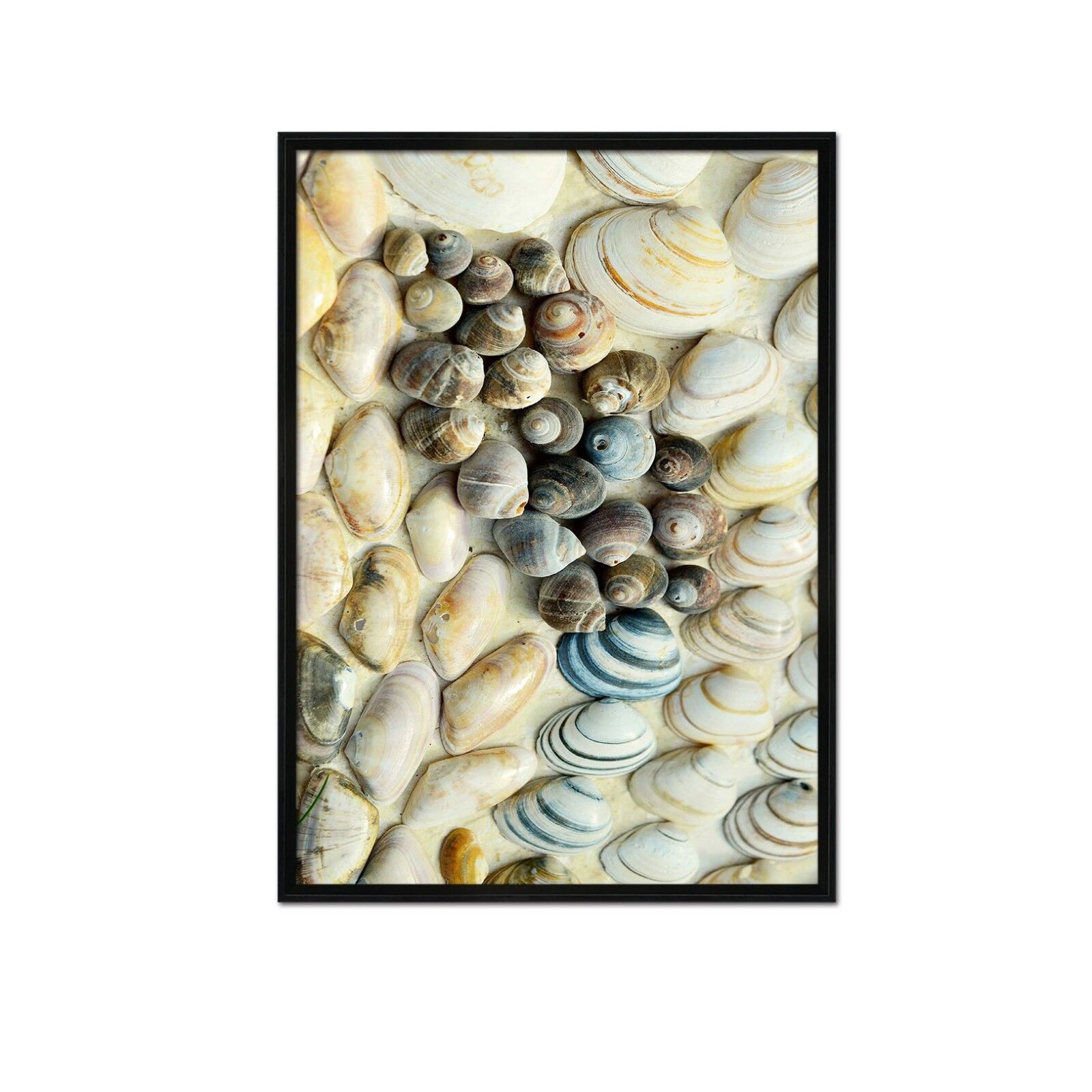 3D Ocean Shell Pattern 3 Framed Poster Home Decor Print Painting Art AJ Klasyczna popularność, zysk