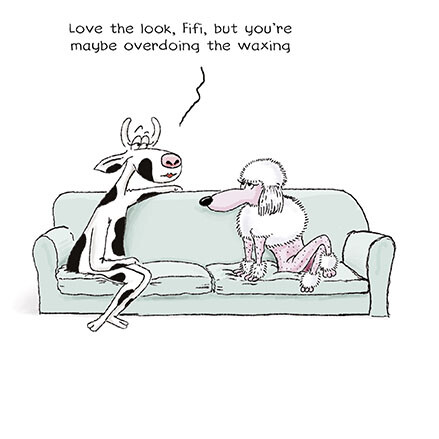 Funny Poodle Overdoing The Waxing Birthday Card – Cartoon Humour Greeting Card