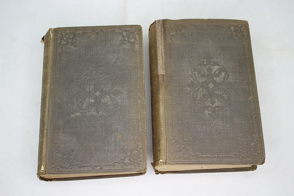 THE WORKS OF SAINT-PIERRE by Rev. E. Clarke, 1846, 2 vols Illustrated London - Image 2 of 4