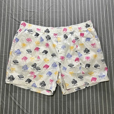 The North Face Men's Class V Ripstop Board Shorts in white ''Campfire'' print XXL