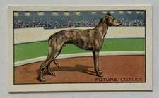 1933 Gallaher Champions #42 Future Cutlet Greyhound Racing Cigarette Card
