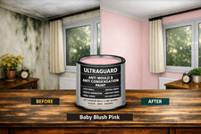 Damp Proof Anti Mould Paint Interior Anti Condensation Wall Ceiling Matt Paint