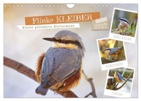 "Calendar 2027 · US Version · Nimble Nuthatch (Wall Calendar 2027 12\" × 8\" Landsc"