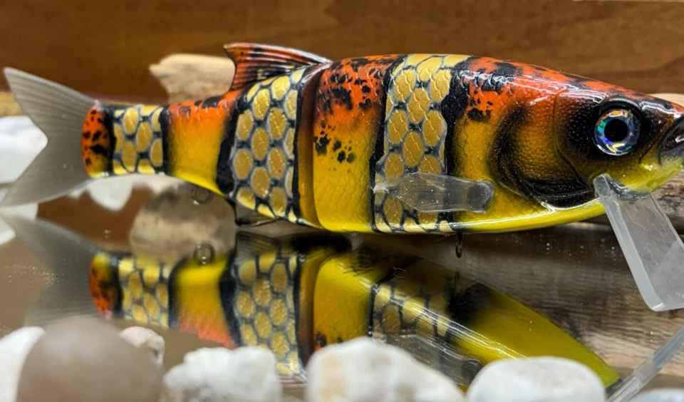 Clon The Citadel Guppie Molix 78 Foto 2 de 2