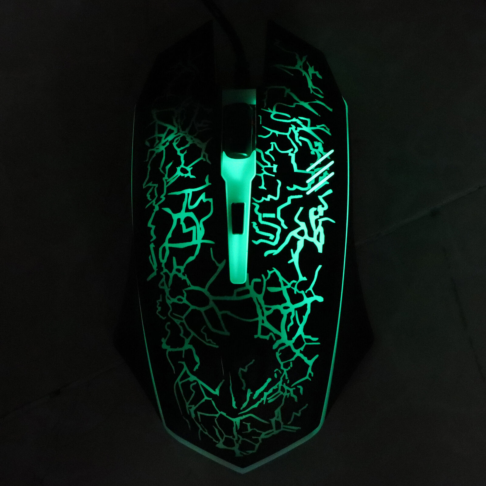 Picture 2 of 22