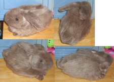 Vintage TY Classic Beanie Nibbles Bunny Rabbit Brown Plush Stuffed Animal 1993