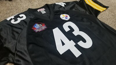 troy polamalu hall of fame jersey