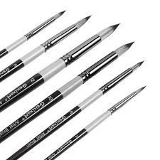 Round Pointed Tip Paint Brushes Set, 6 Pcs Artist Paintbrushes for Acrylic Oi...