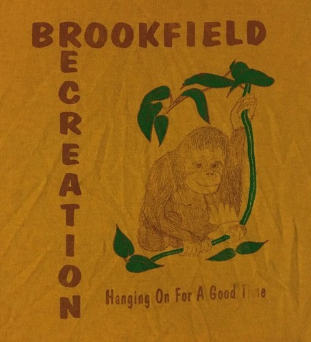 Vtg 90s Kids Brookfield Faded PE Shirt L USA Monkey Animal Funny School Track 80 - Picture 2 of 11