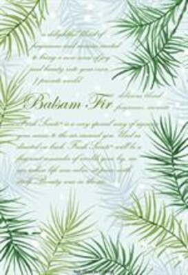 Fresh Scents großer Duftbeutel - Balsam Tanne 3er Pack