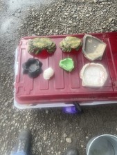 Reptile Critter Terrarium Accessories Water Dish Food Dish Rock Hide