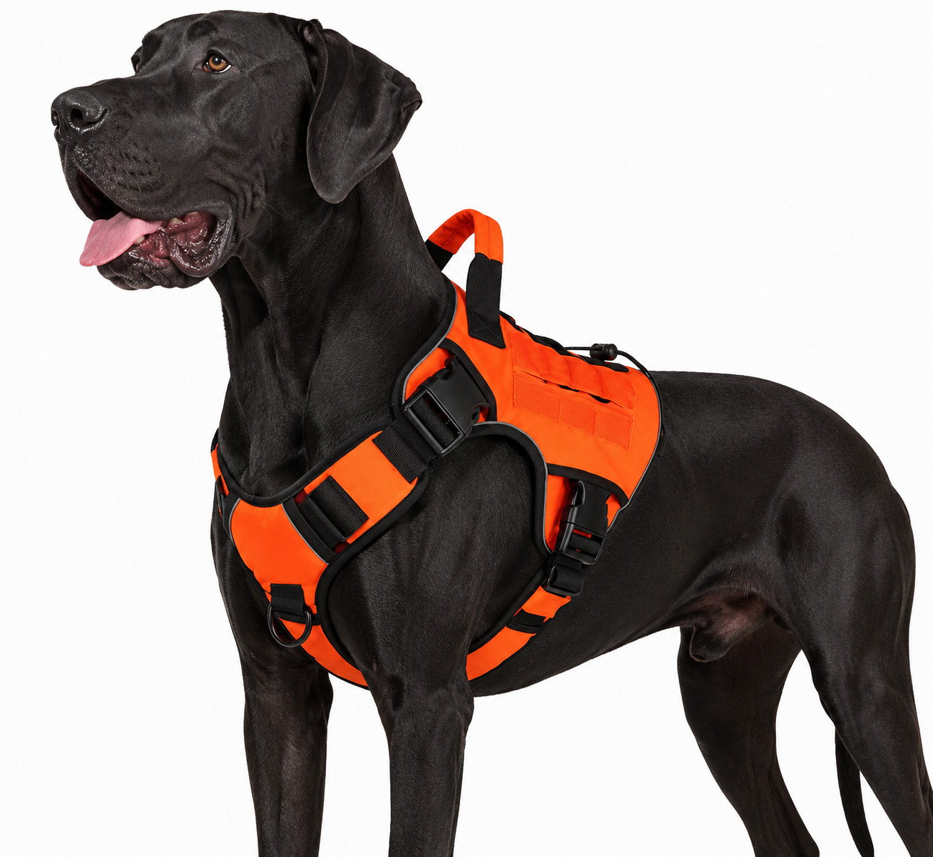 Taktisches Hundegeschirr mit Griff – Robust & verstellbar für große Hunde 2