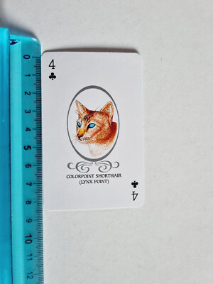 COLORPOINT SHORTHAIR LYNX POINT CATS KATZENKARTE RARE CAT 1988 BLAU ORIGINALPAPIER