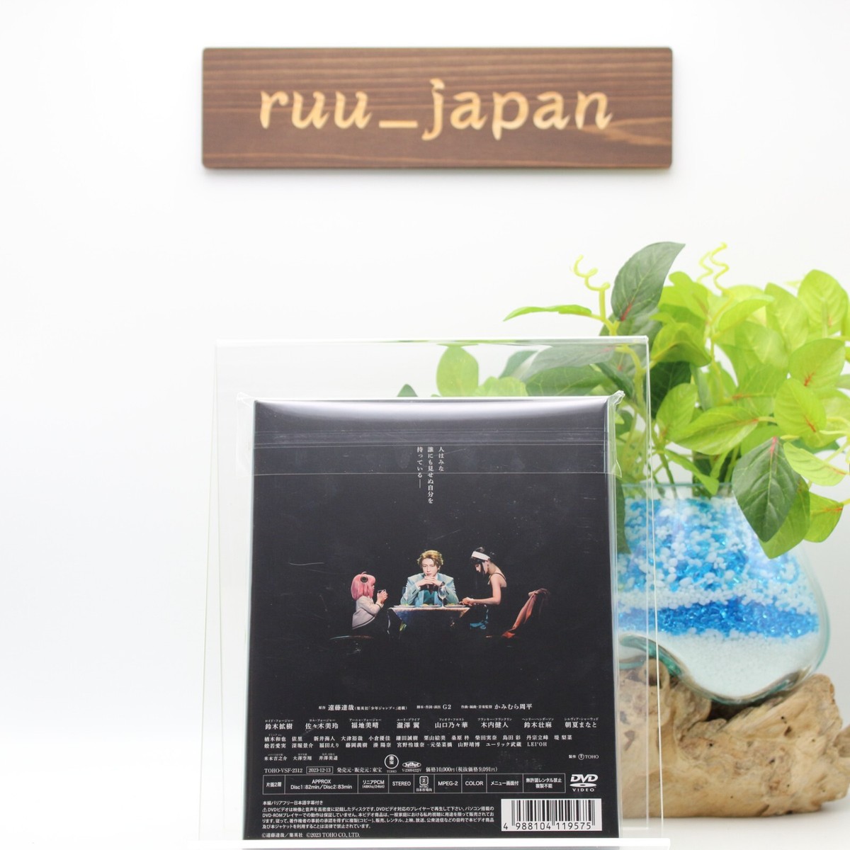 Musical SPY×FAMILY DVD Version F Musical SPY x FAMILY DVD Standard Edition Version F Japan