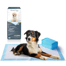 Beauty Case Alèses Jetables