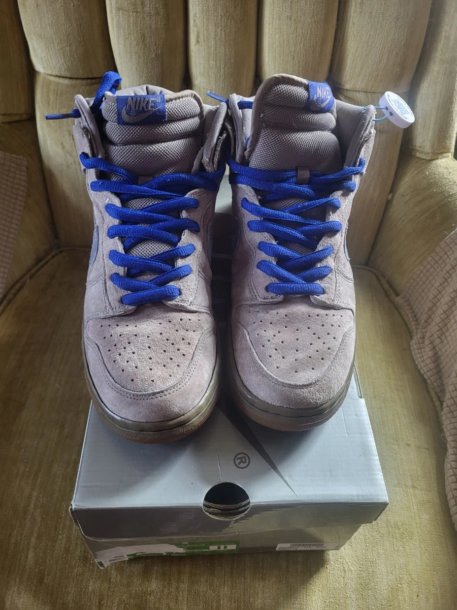 Nike Dunk Pro SB High Iron | eBay