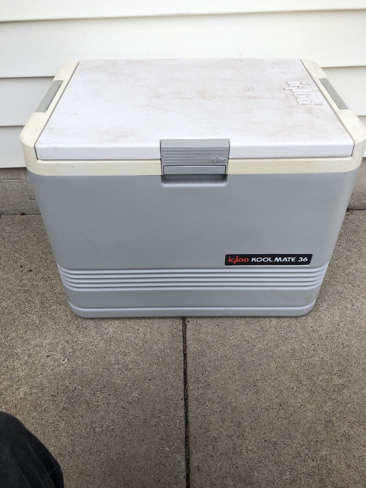 igloo kool mate 36 price