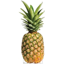 PINEAPPLE Giant 76" Tall CARDBOARD CUTOUT Standup Standee Poster Food Party Prop