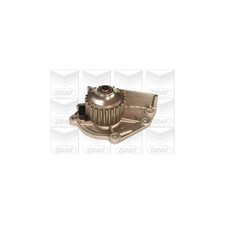 Pompe à eau Rover 114