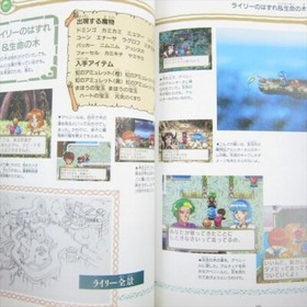 RAYEARTH Magic Knight Visual Game Guide Art Fan Book Sega Saturn 1995 Japan KO