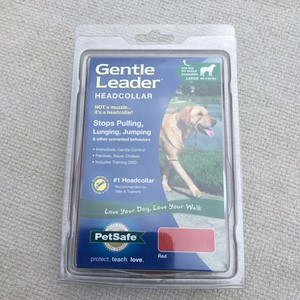 gentle leader headcollar video