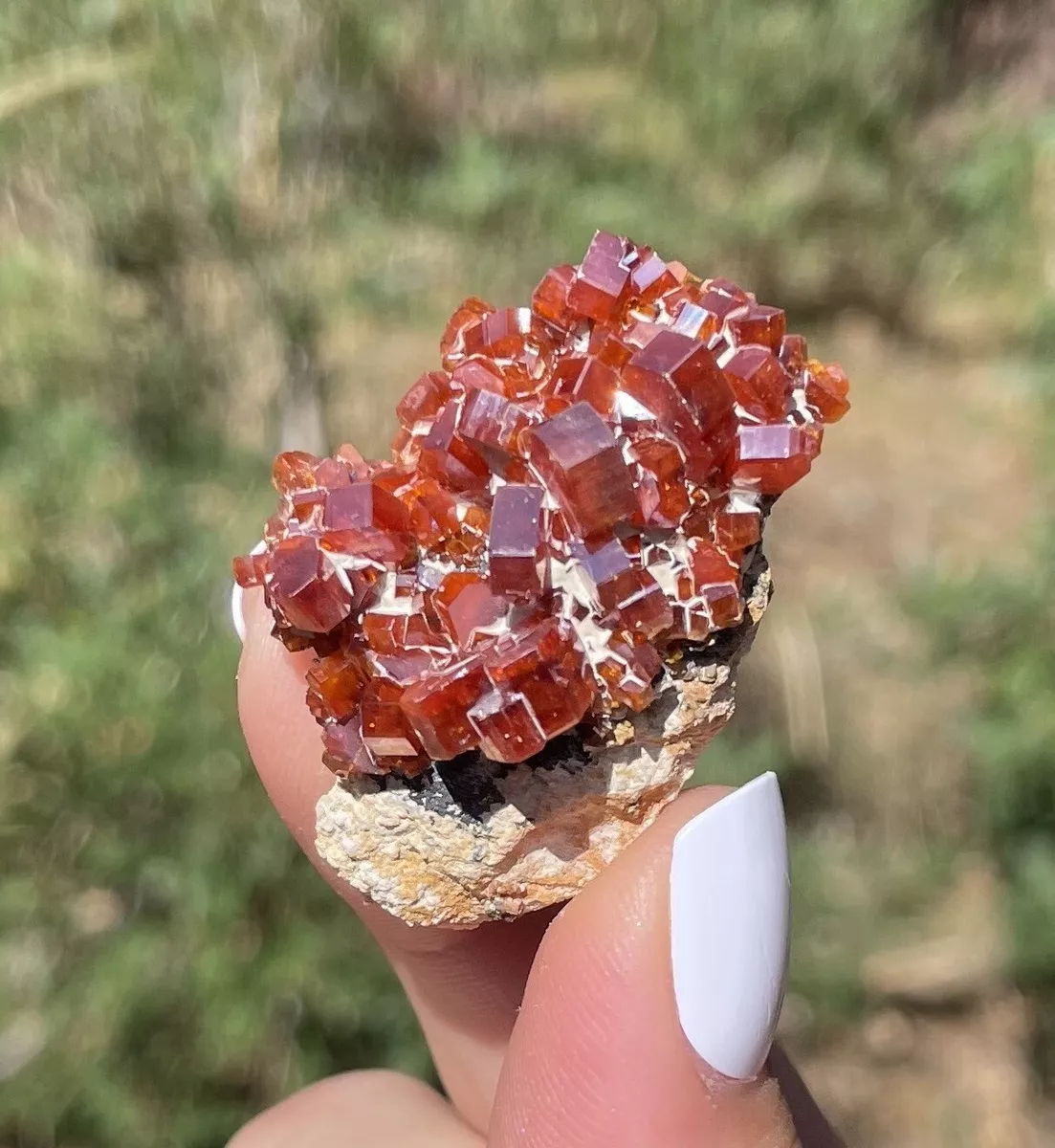 Vanadinite Lustrous Bright Red Crystals Morocco 3.9 Cms eBay