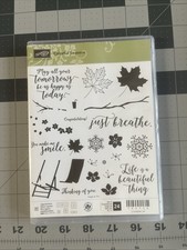 Stampin Up 24 Colorful Seasons Stamp Set  Seasonal Layers Dies Bundle 143726