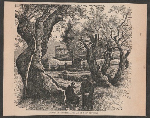 VINTAGE RELIGIÖSE ILLUSTRATION GARTEN VON GETHSEMANE WIE ER JETZT ERSCHEINT (1890er)