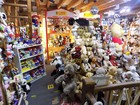 Bild 3 von 12