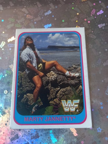 MERLIN WWF CARDS 1991 WRESTLING ITALIAN VERSION A SCELTA: UNDERTAKER MACHO MAN . - Foto 15 di 88
