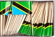 One Box of 100 Tanzania Toothpick Flags, 100 Small Mini International Flags