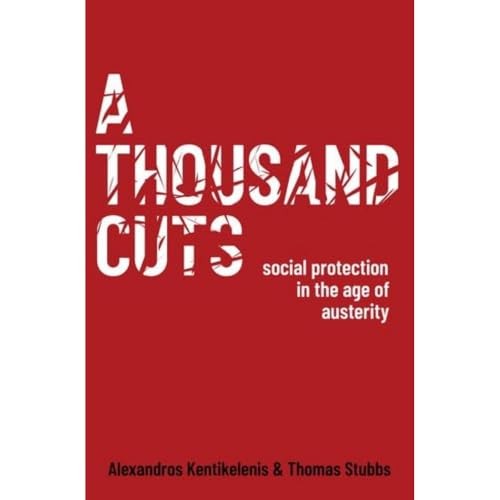 A Thousand Cuts: Social Protection in the Age of Austerity by Alexandros Kentik - Image 6