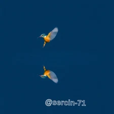 Digital Image Picture Photo Wallpaper Background Desktop AI Art Sample Product