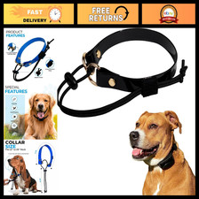 Bungee Replacement Strap for Dog Shock Collar - Compatible with Sportdog  Educa