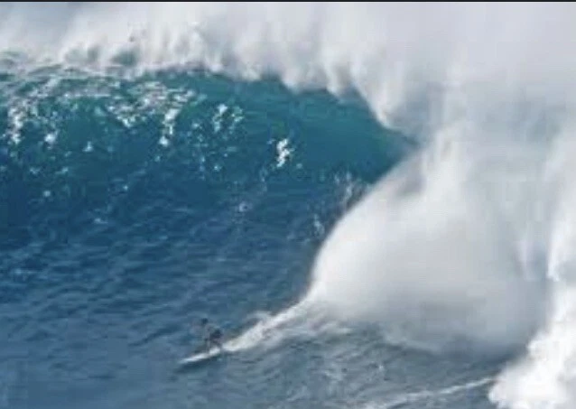 Wolves Club Stickers Darc Sports SURF TEAM Sticker Volcom team Decals RVCA Koa - Image 3 of 4