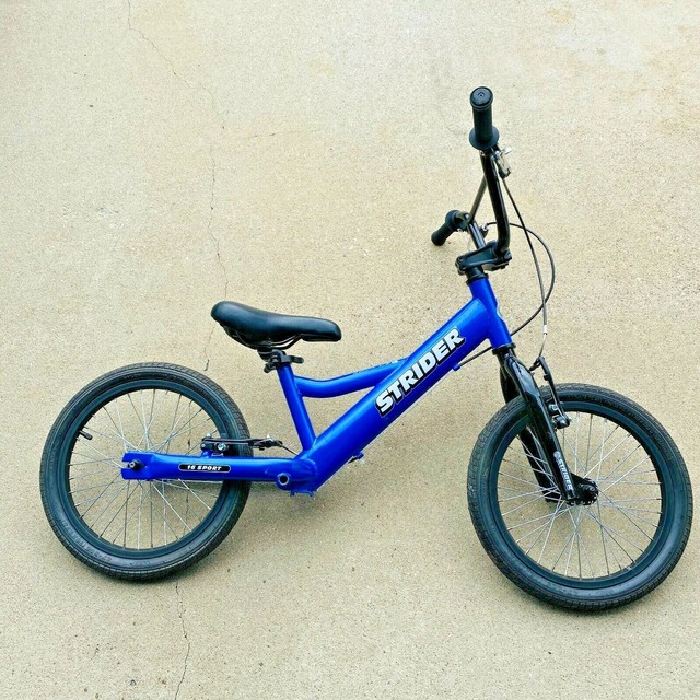 raleigh mxr bike