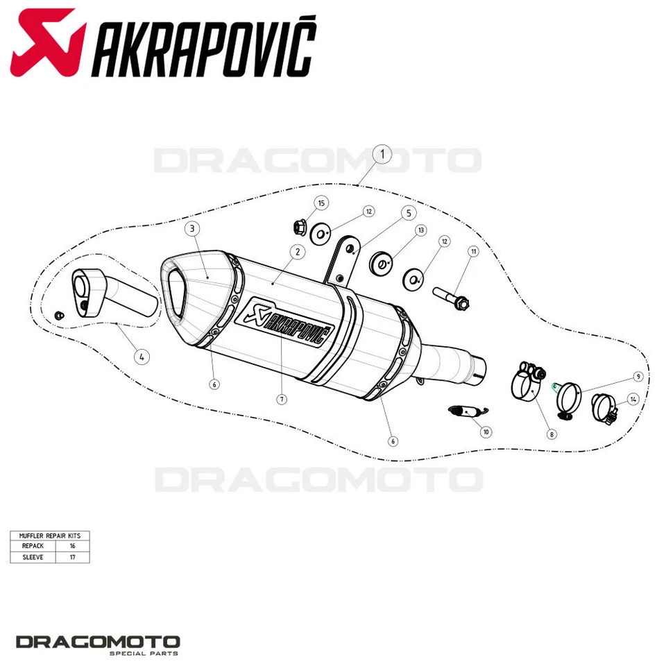 Escape Kawasaki Ninja 300 2013-2016 AKRAPOVIC carbono RC S-K3SO1-ZC Foto 2 de 4