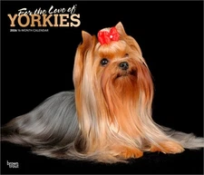 For the Love of Yorkshire Terriers | 2026 14x24" (Hanging) Deluxe Wall Calendar
